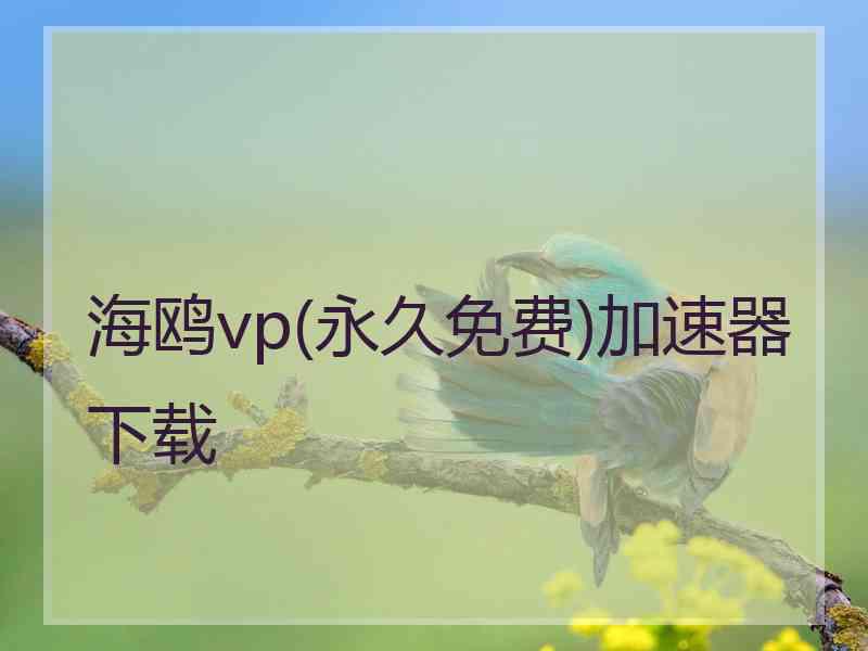 海鸥vp(永久免费)加速器下载