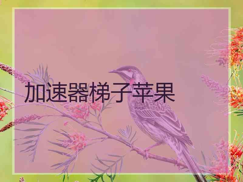 加速器梯子苹果