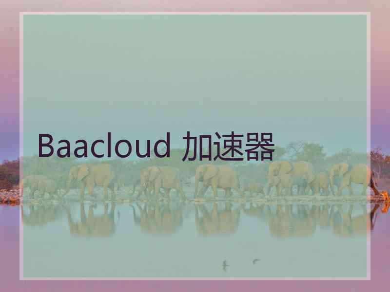 Baacloud 加速器