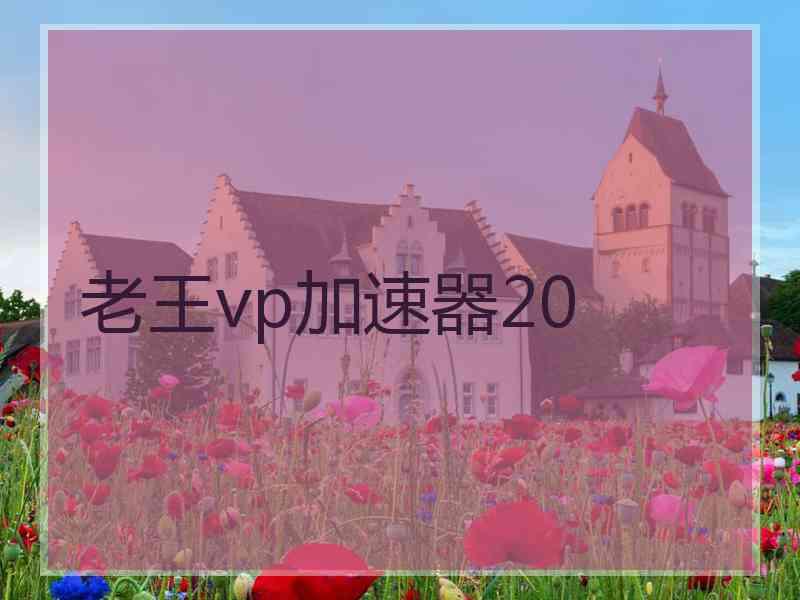 老王vp加速器20