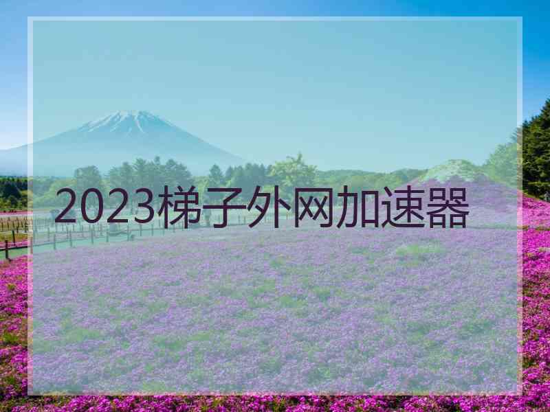 2023梯子外网加速器