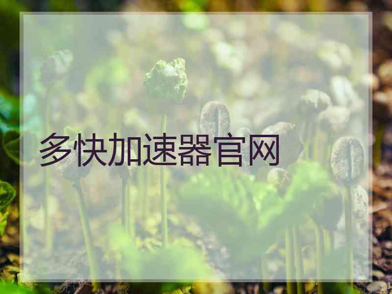 多快加速器官网