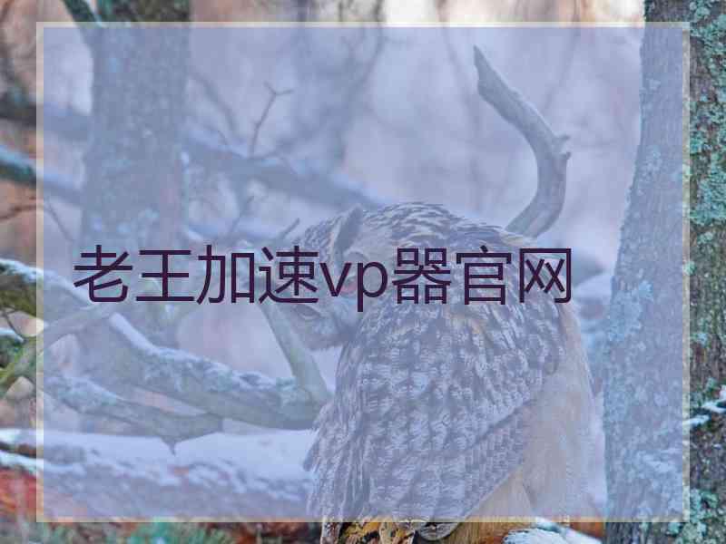 老王加速vp器官网