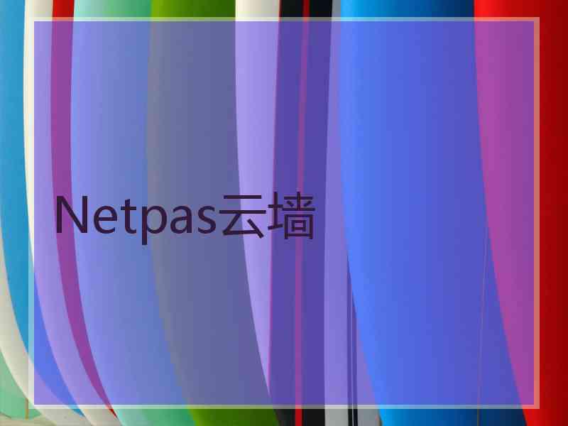 Netpas云墙