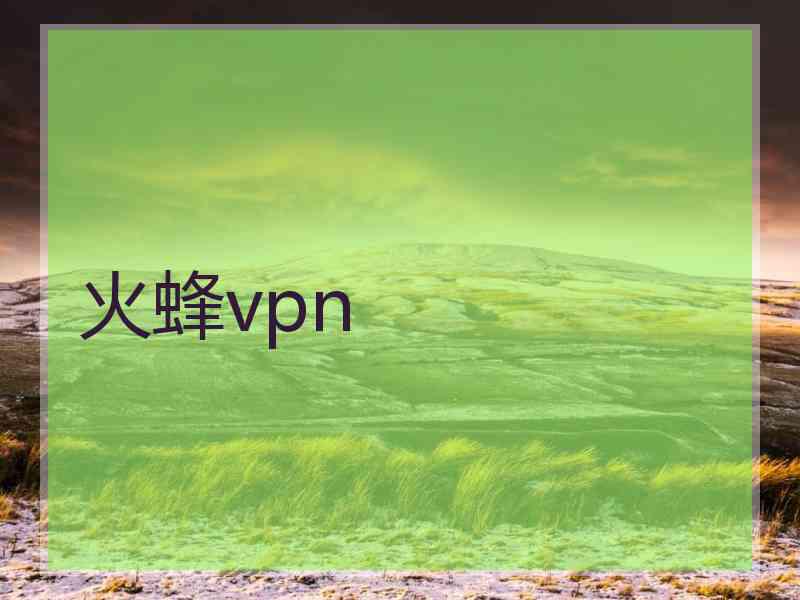 火蜂vpn