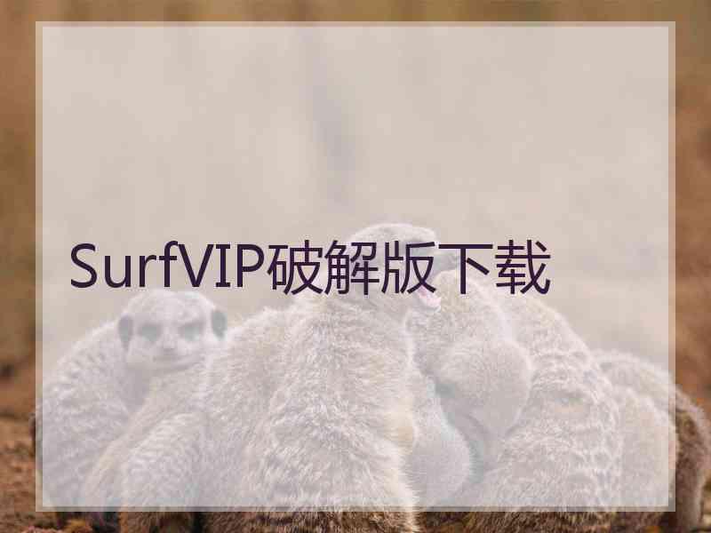 SurfVIP破解版下载