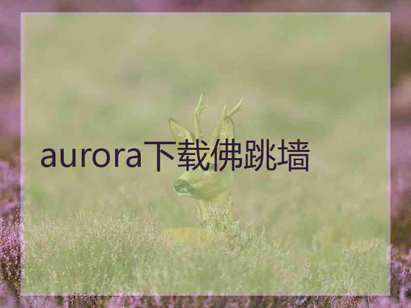 aurora下载佛跳墙