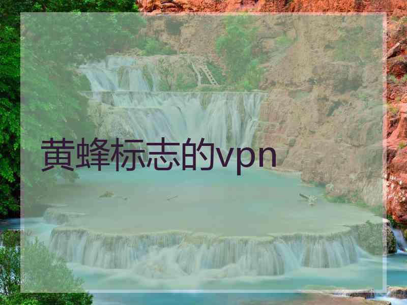 黄蜂标志的vpn