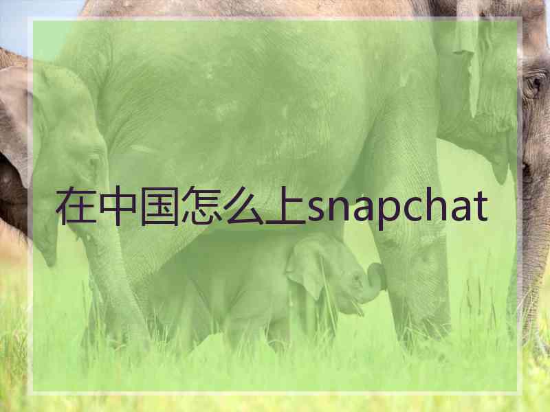 在中国怎么上snapchat