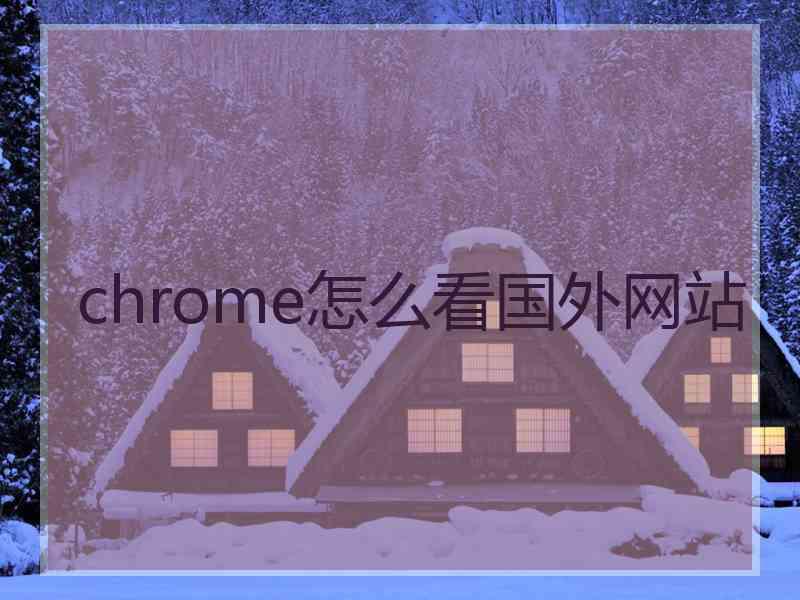 chrome怎么看国外网站