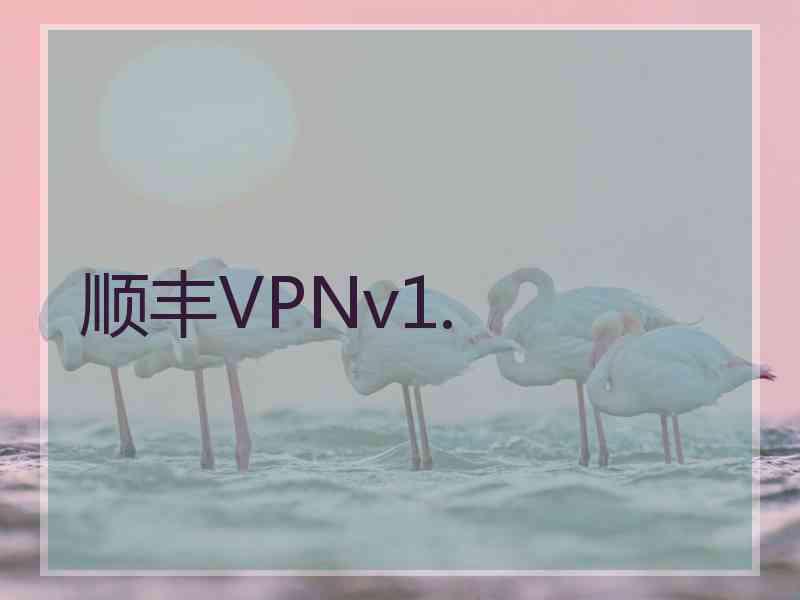 顺丰VPNv1.