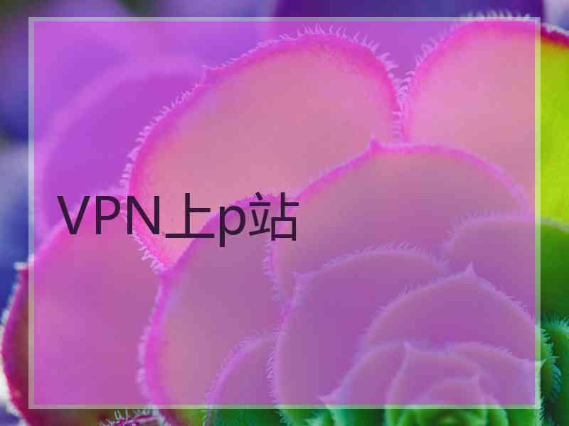 VPN上p站