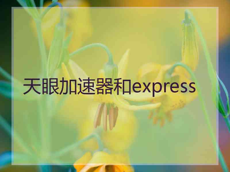 天眼加速器和express