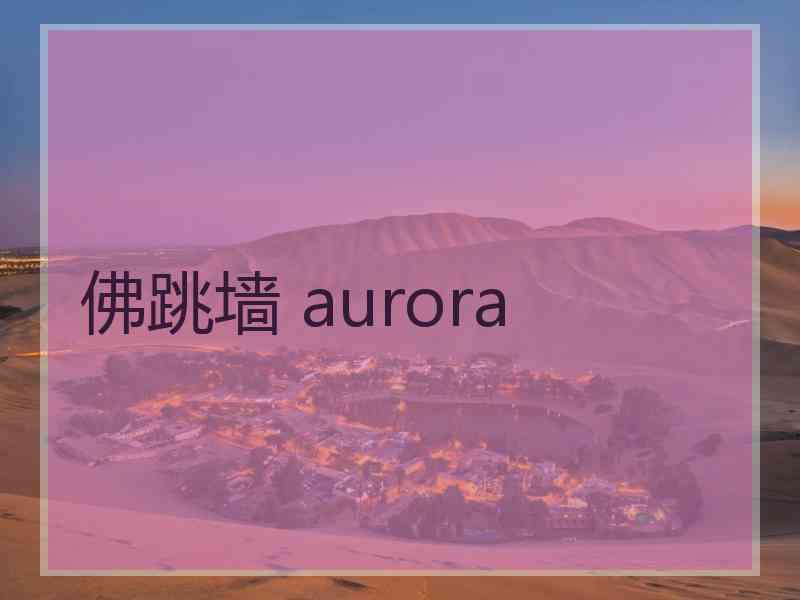 佛跳墙 aurora