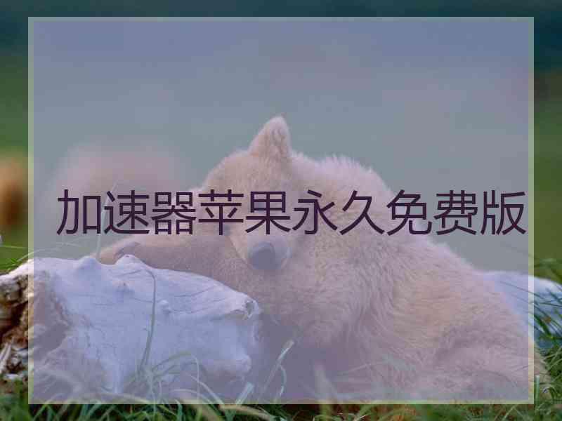 加速器苹果永久免费版