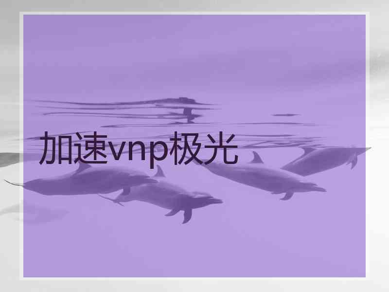 加速vnp极光