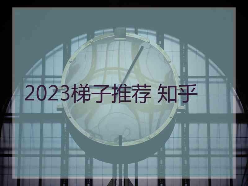 2023梯子推荐 知乎