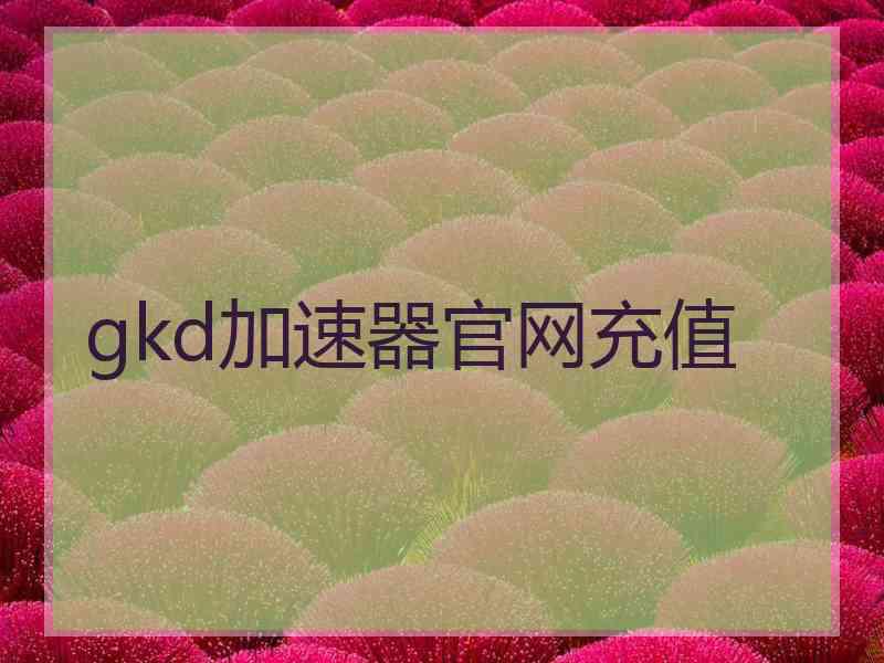 gkd加速器官网充值