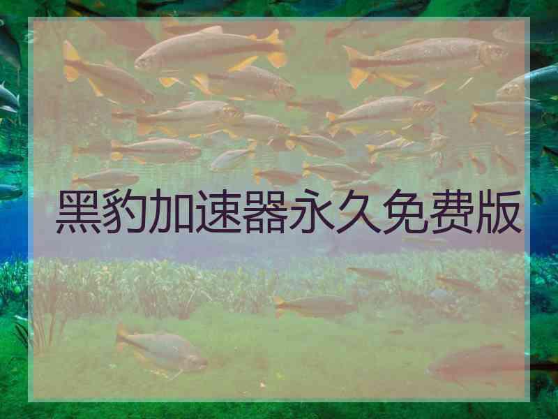 黑豹加速器永久免费版