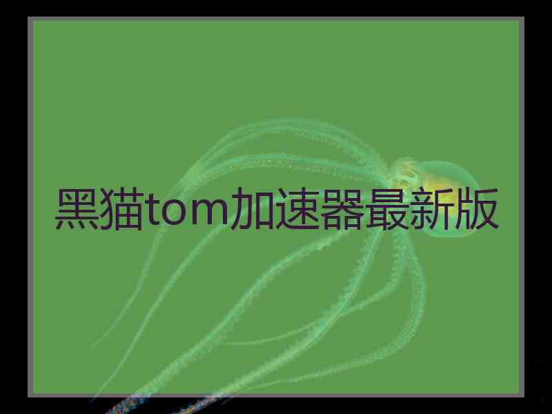 黑猫tom加速器最新版