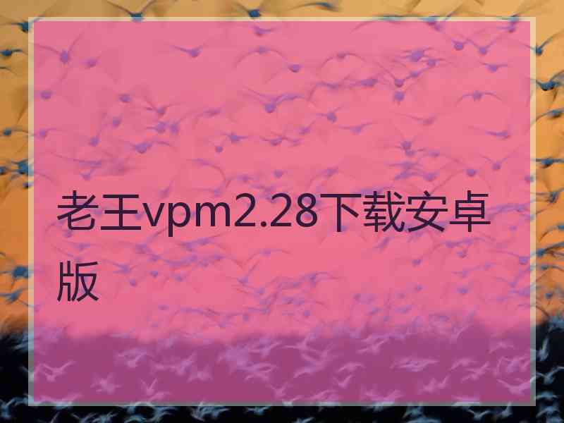 老王vpm2.28下载安卓版