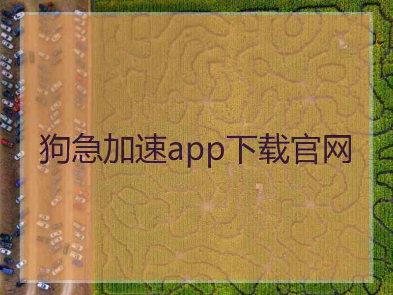 狗急加速app下载官网