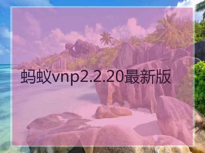 蚂蚁vnp2.2.20最新版