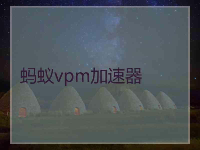 蚂蚁vpm加速器