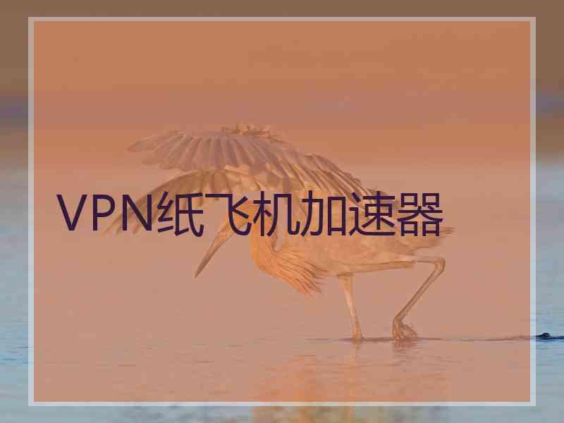 VPN纸飞机加速器