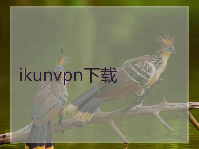 ikunvpn下载