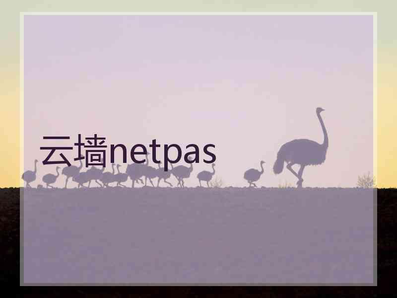 云墙netpas