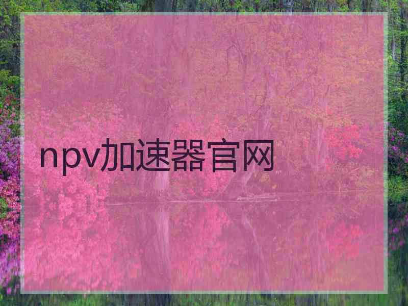 npv加速器官网