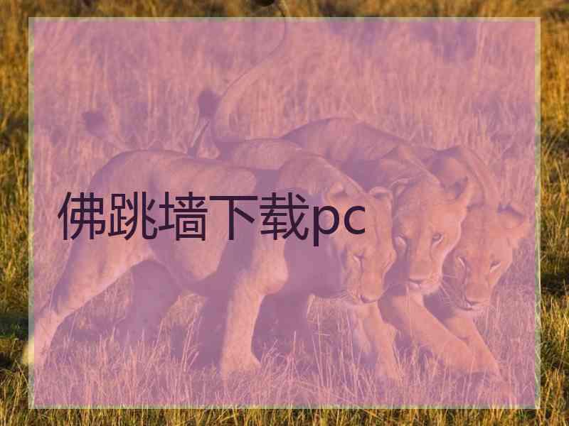 佛跳墙下载pc