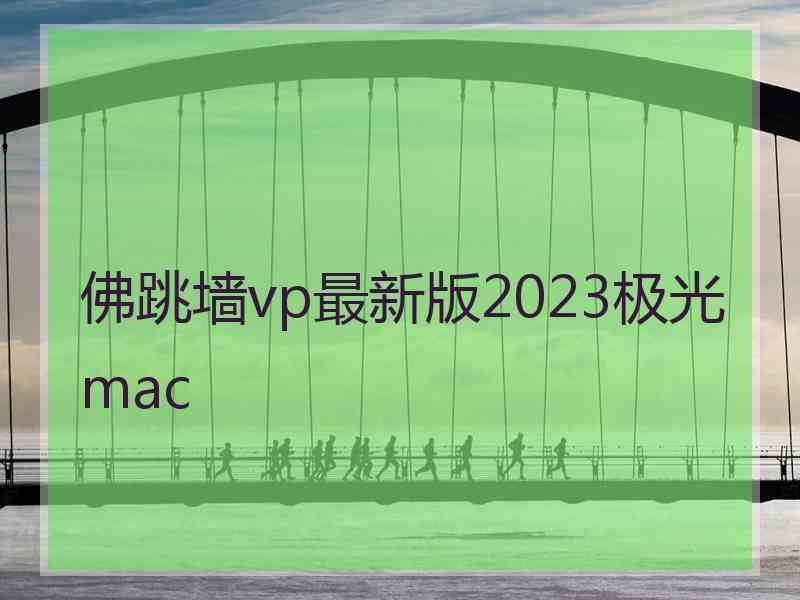 佛跳墙vp最新版2023极光 mac