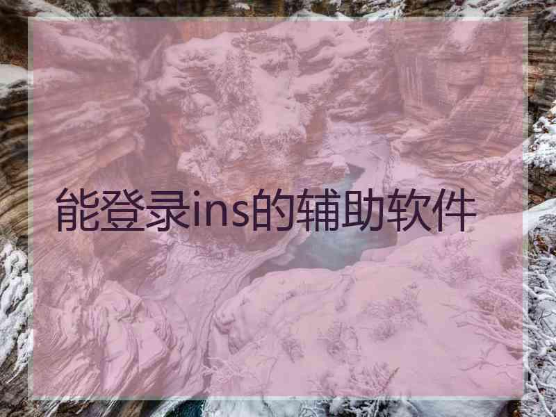 能登录ins的辅助软件