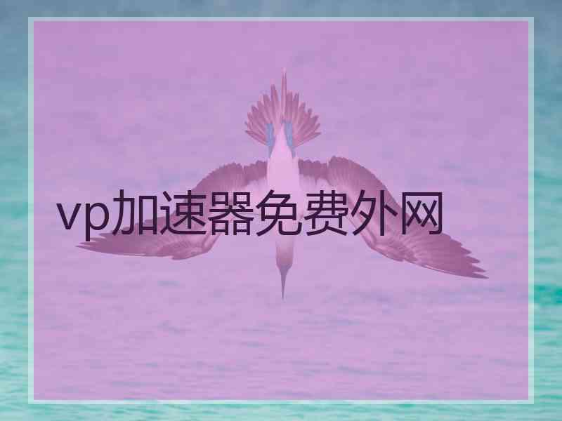 vp加速器免费外网