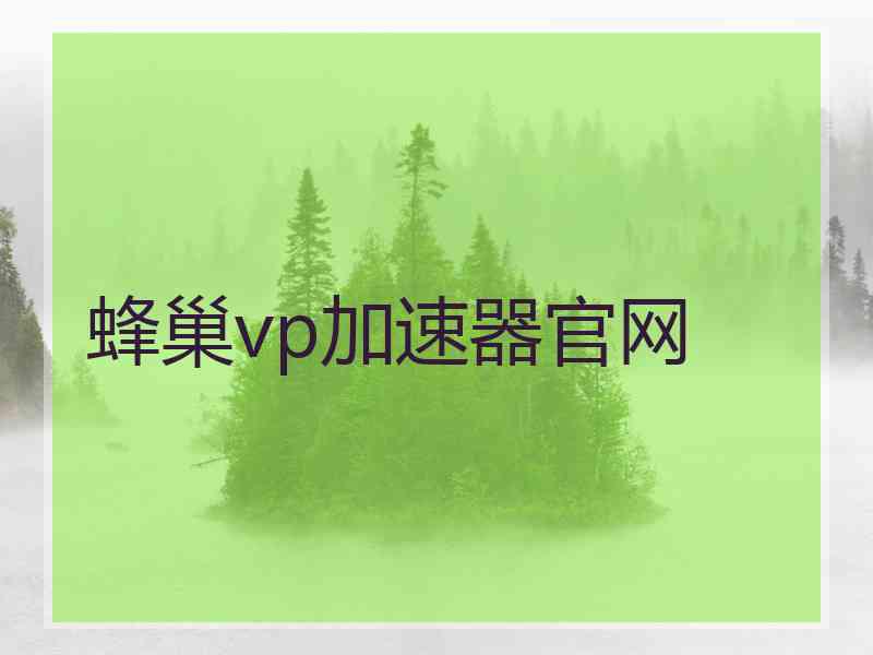 蜂巢vp加速器官网