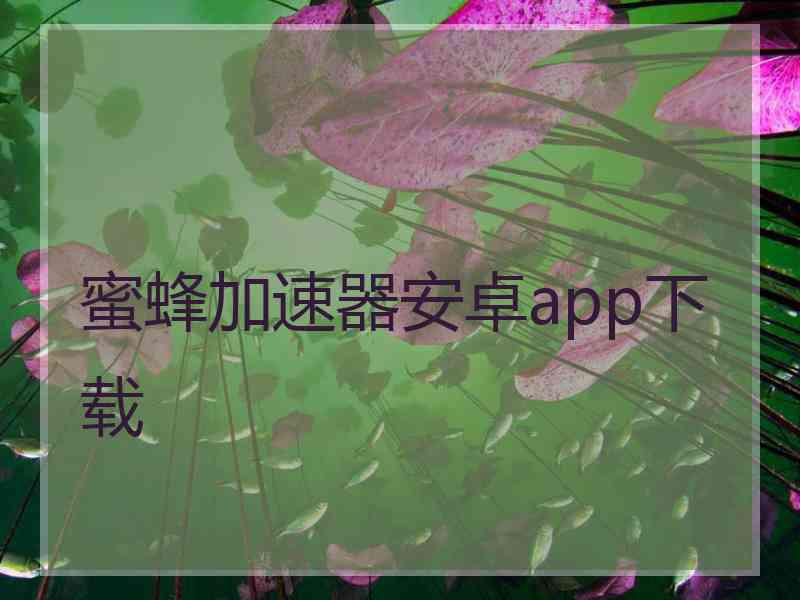 蜜蜂加速器安卓app下载