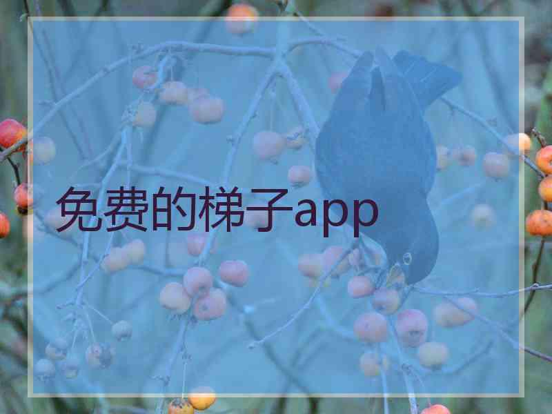 免费的梯子app