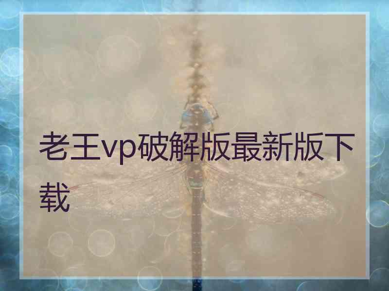 老王vp破解版最新版下载