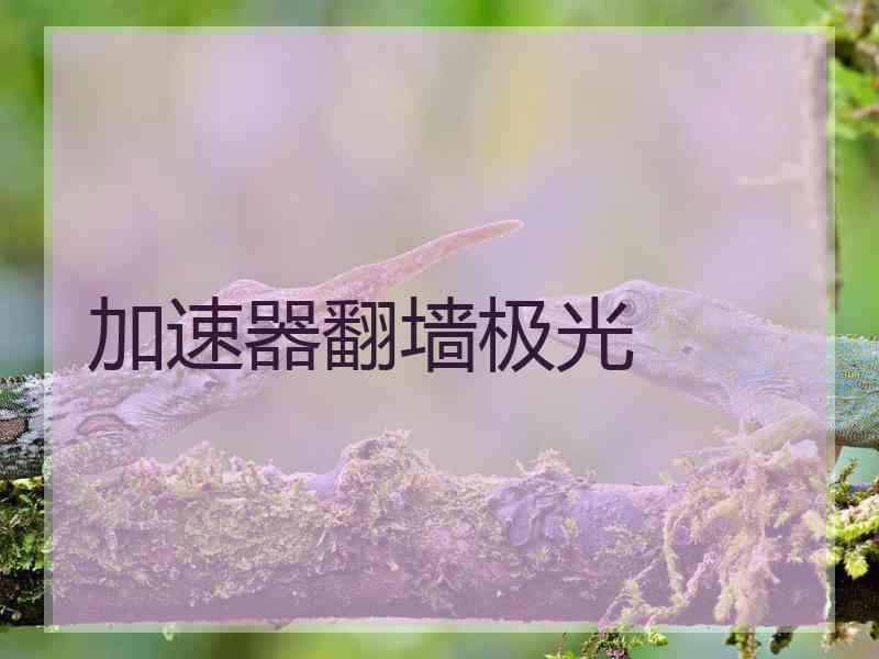 加速器翻墙极光