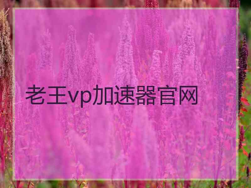 老王vp加速器官网