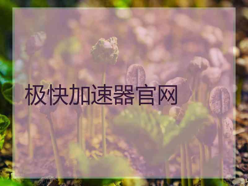 极快加速器官网