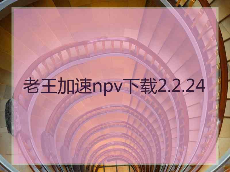 老王加速npv下载2.2.24