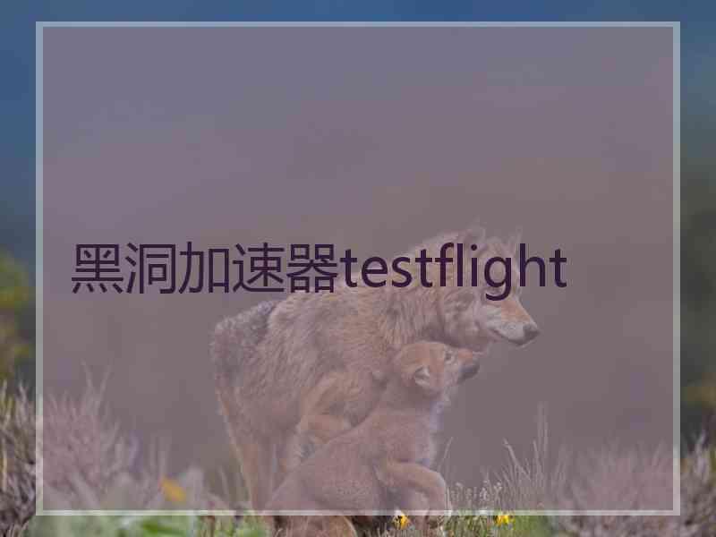 黑洞加速器testflight