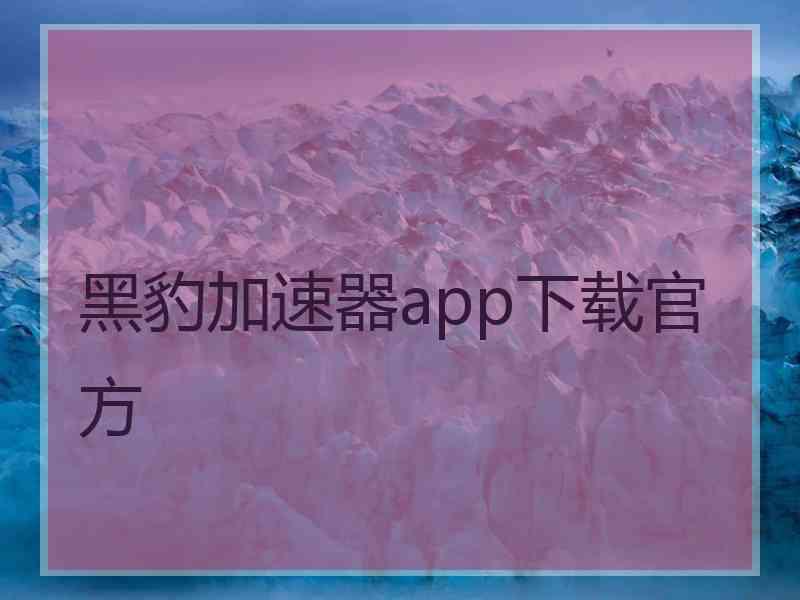 黑豹加速器app下载官方