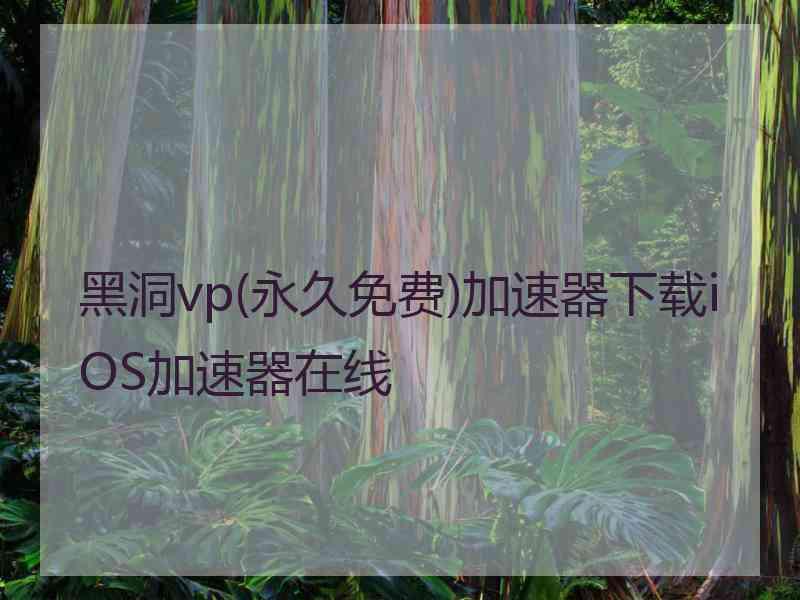 黑洞vp(永久免费)加速器下载iOS加速器在线