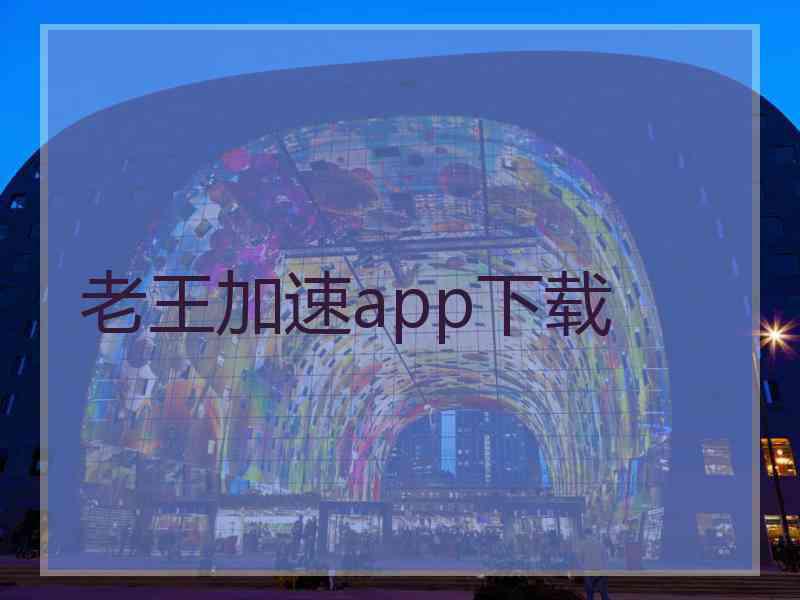 老王加速app下载