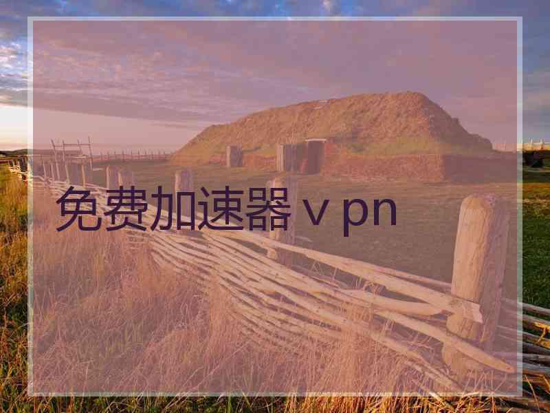 免费加速器ⅴpn