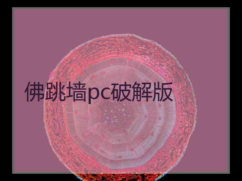 佛跳墙pc破解版